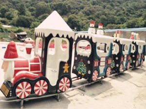 Amusement Park Christmas Track Train For Sale