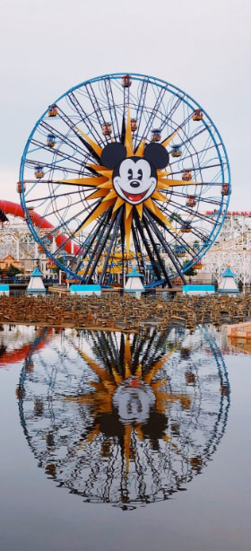Ferris Wheel Amusement Rides for Theme Park Use