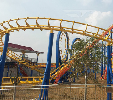 Thrill roller coster amusement park rides for sale